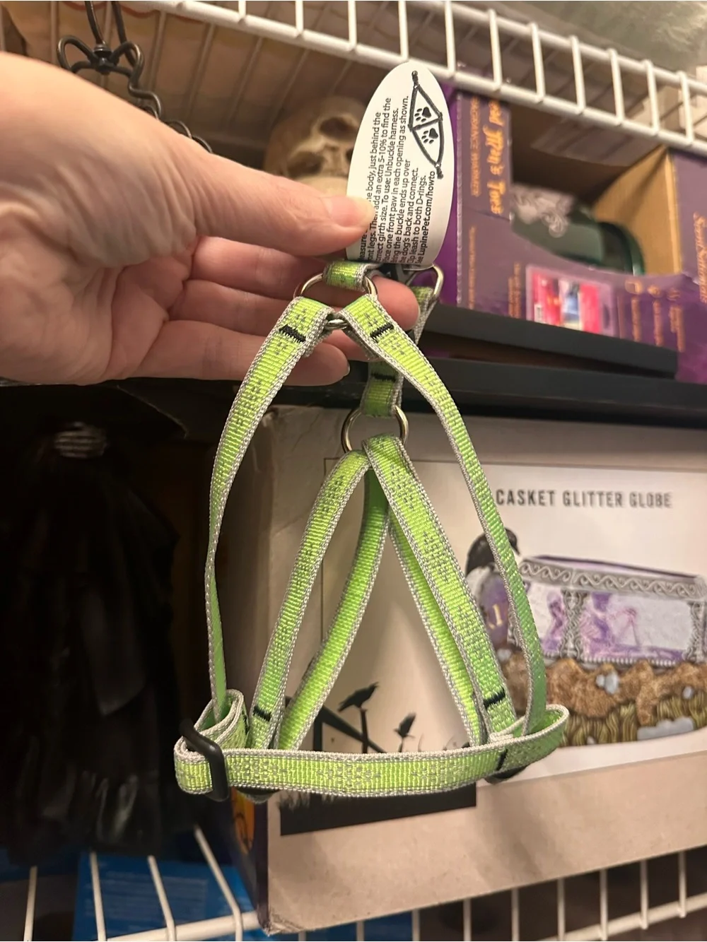 1 Reflective Lupine Dog Harness And 1 Top Paw Collar Bundle